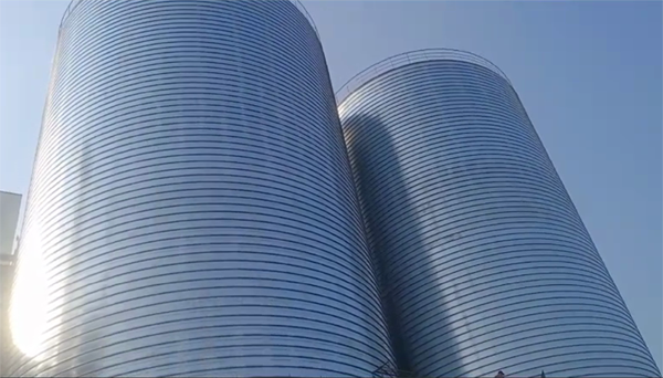 富顺2座混凝土高架卷板仓